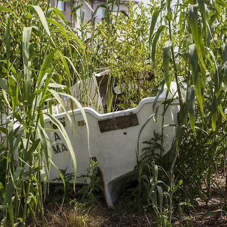 Ibis Budget Cabourg Sur