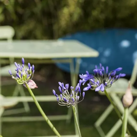 Hotel Ibis Budget Cabourg Sur 2*