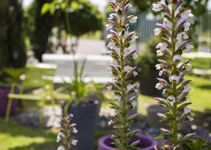 Ibis Budget Dives Sur Mer Hotel 2*