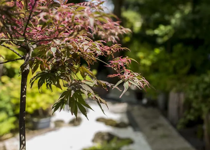 Ibis Budget Dives Sur Mer Hotel Dives-sur-Mer