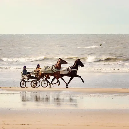 ホテル Ibis Budget Cabourg Sur ディーブ・シュール・メール