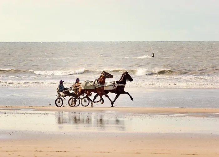 Hotel Ibis Budget Cabourg Sur Dives-sur-Mer