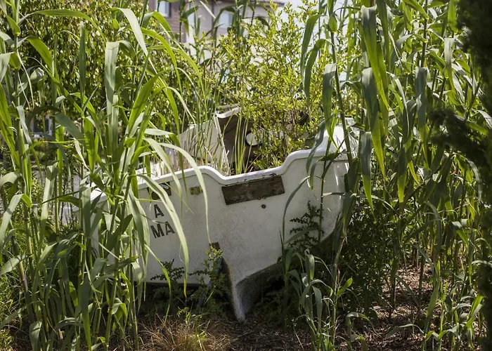 Ibis Budget Cabourg Sur